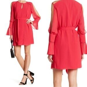 Haute Hippie Bessie Cutout Sleeve Raspberry Pink Mini Dress